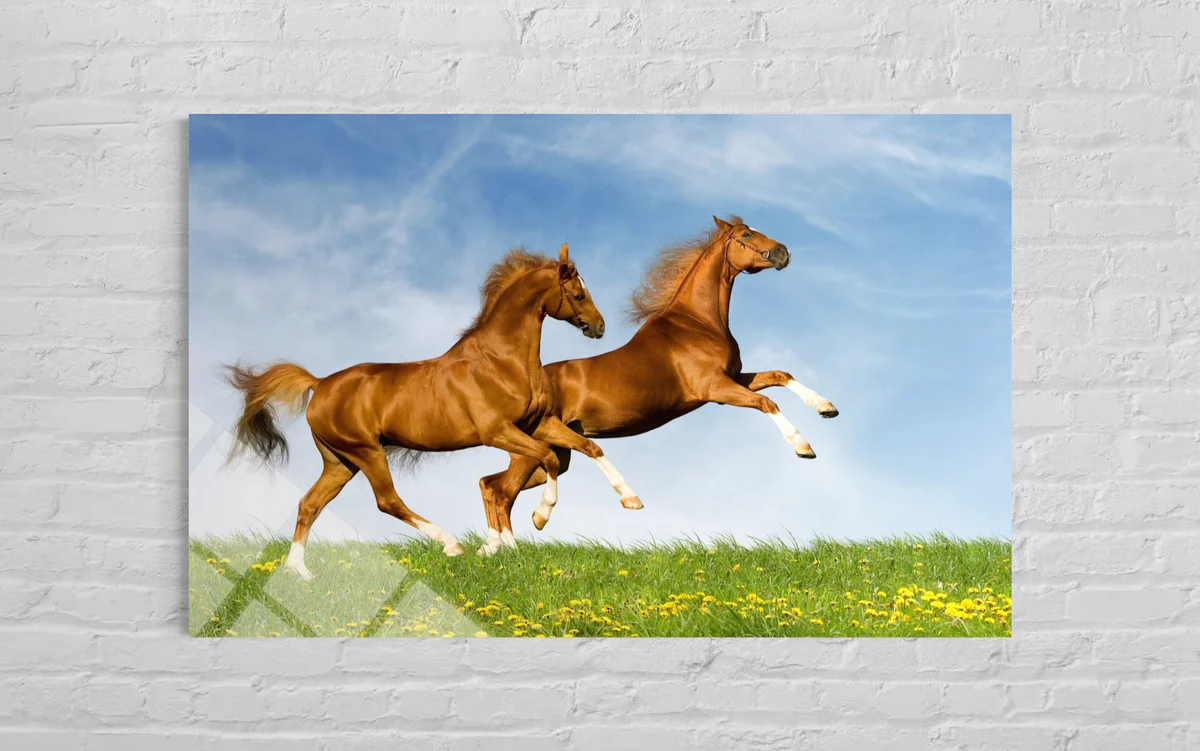 İkili At Cam Tablo