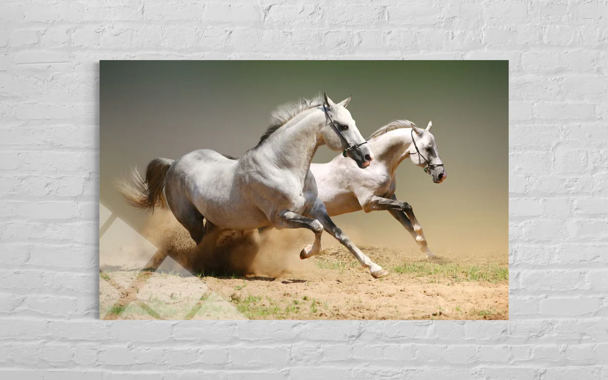 İkili Beyaz At Cam Tablo