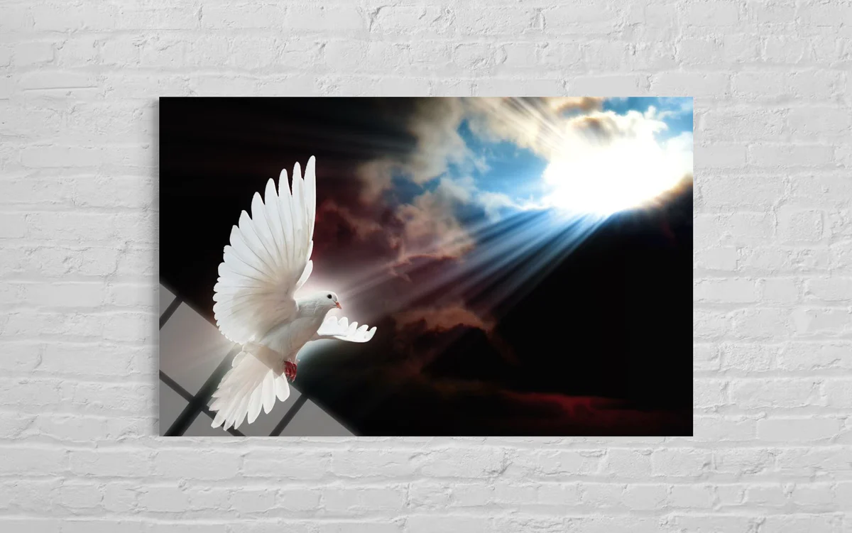 Güvercin Cam Tablo