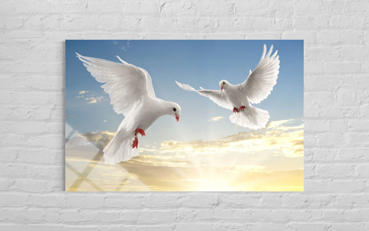 Güvercinler Cam Tablo