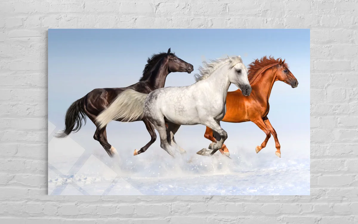 3’lü Atlı Cam Tablo