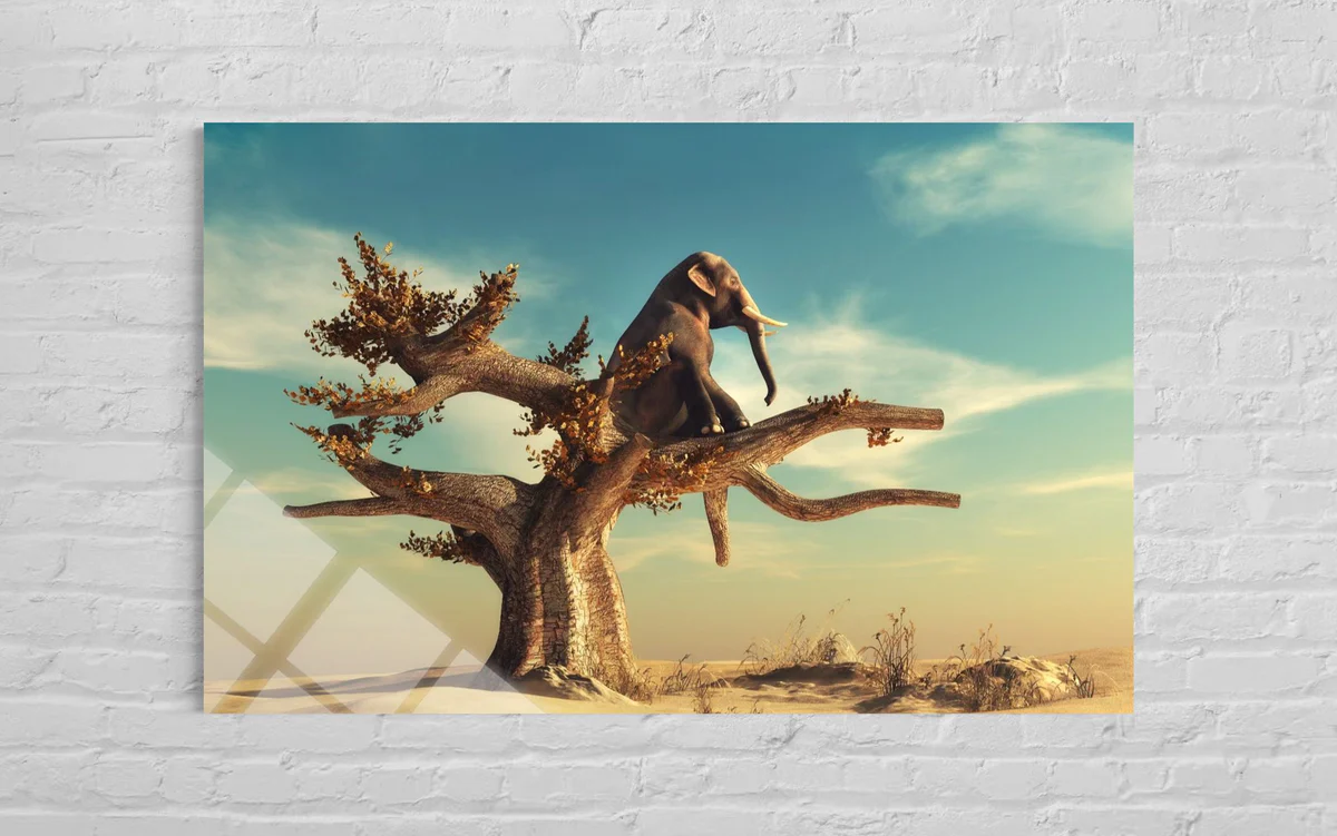 Ağaç Üstünde Oturan Fil Cam Tablo