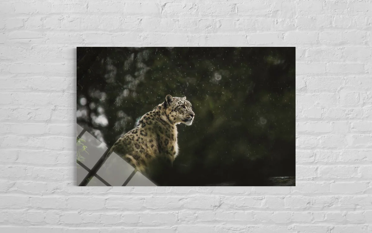 Leopar Cam Tablo