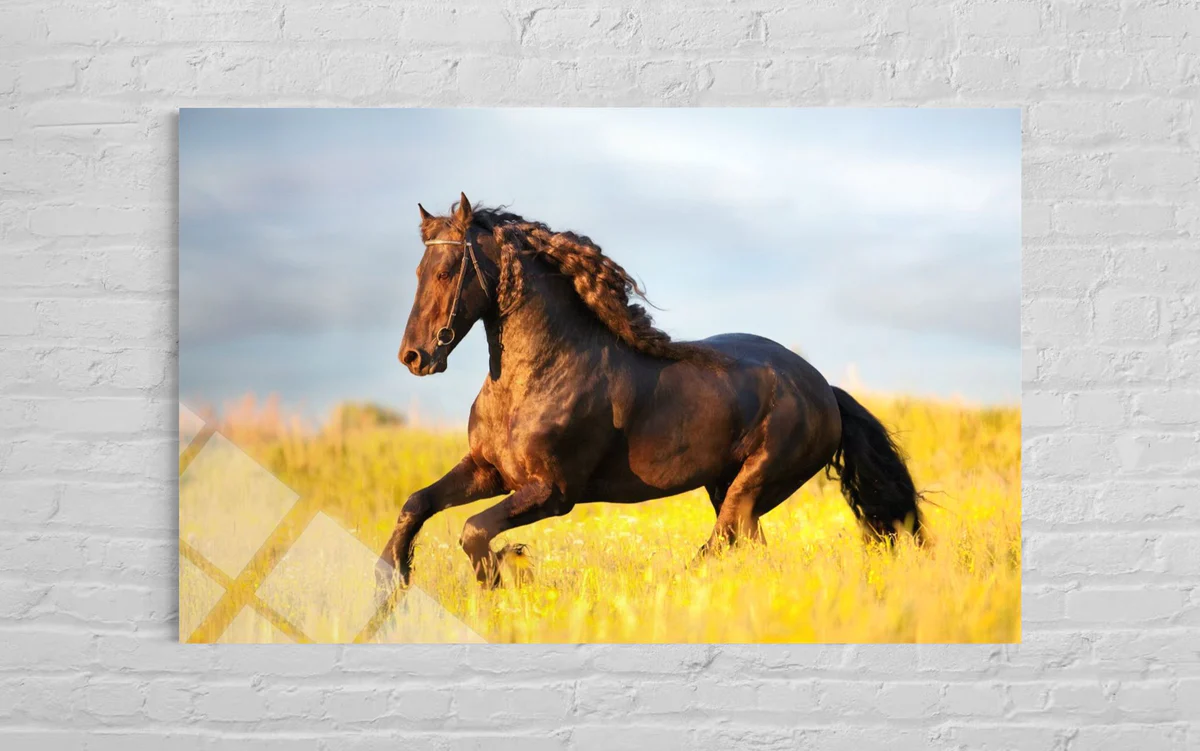 Kahverengi At Cam Tablo