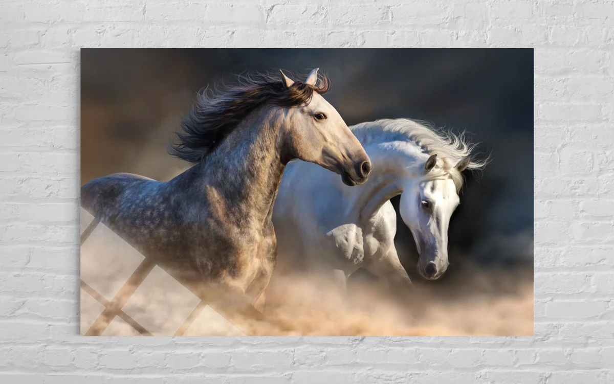 İkili At Cam Tablo