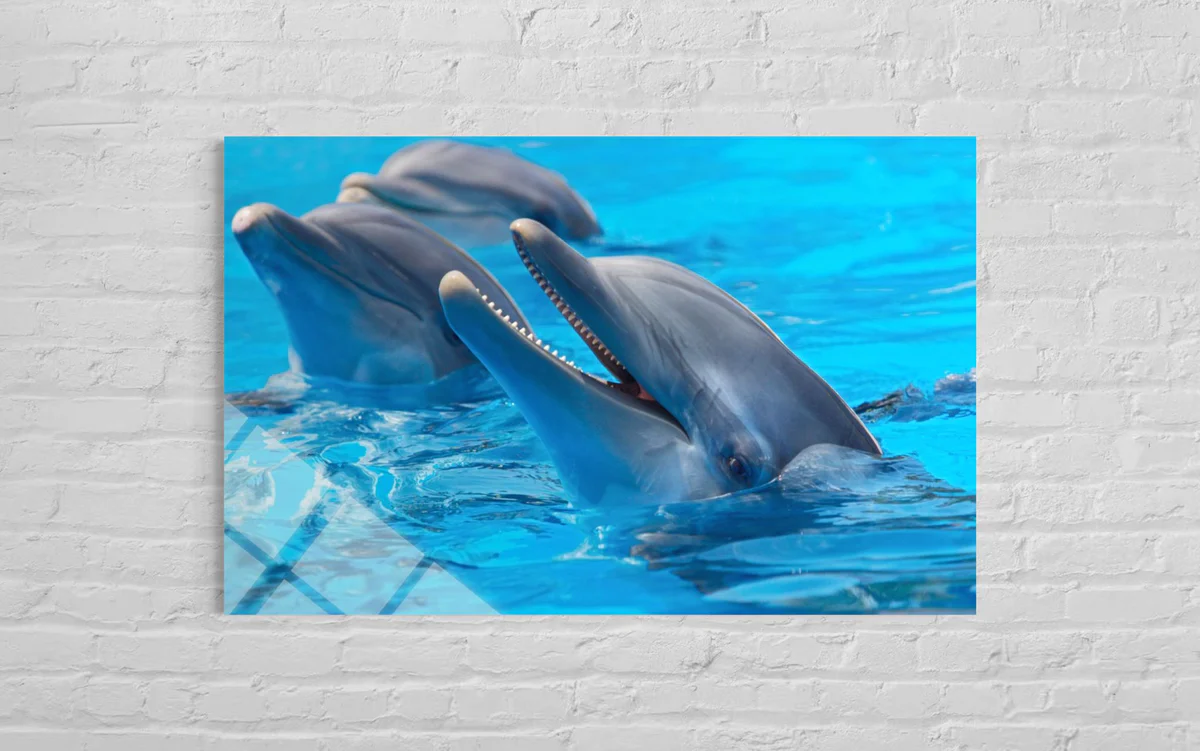 Üç Yunuslu Cam Tablo