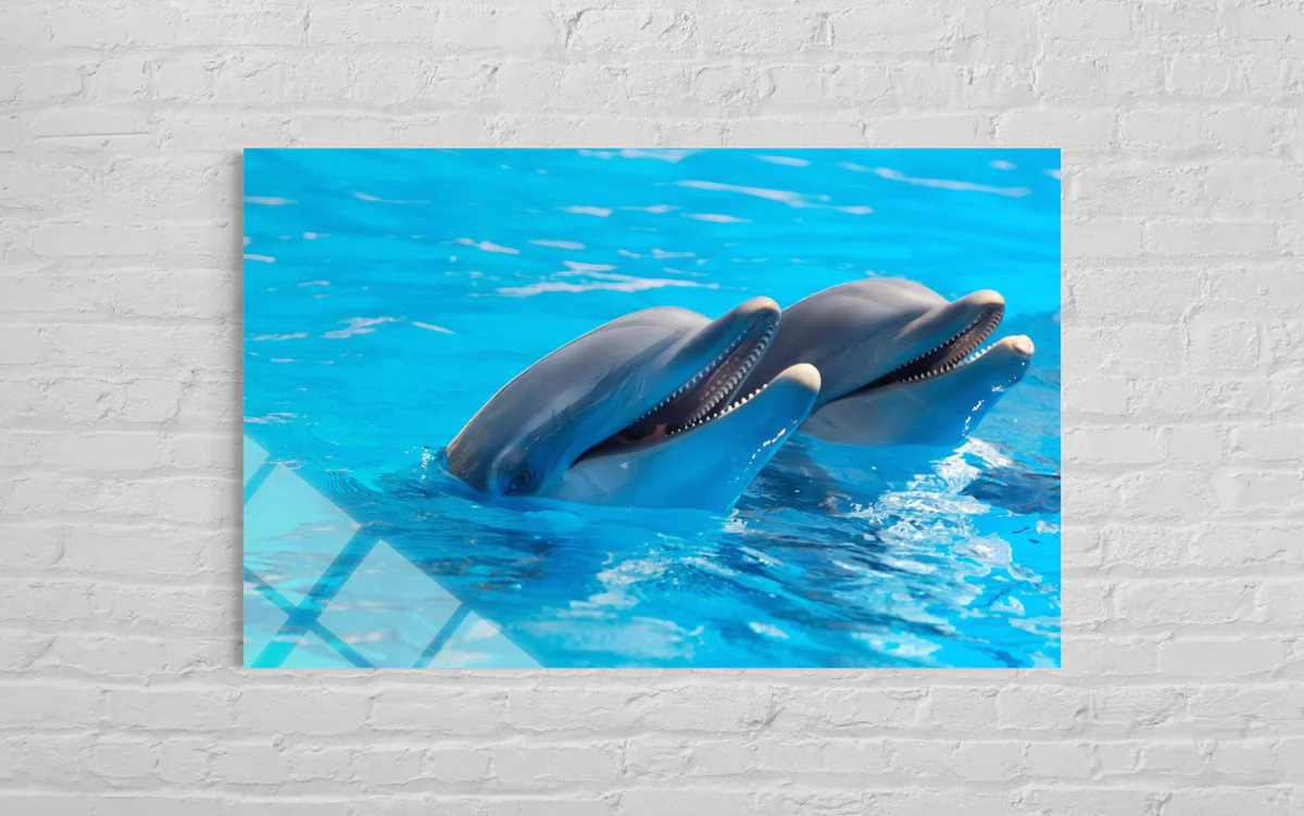 İki Yunuslu Cam Tablo