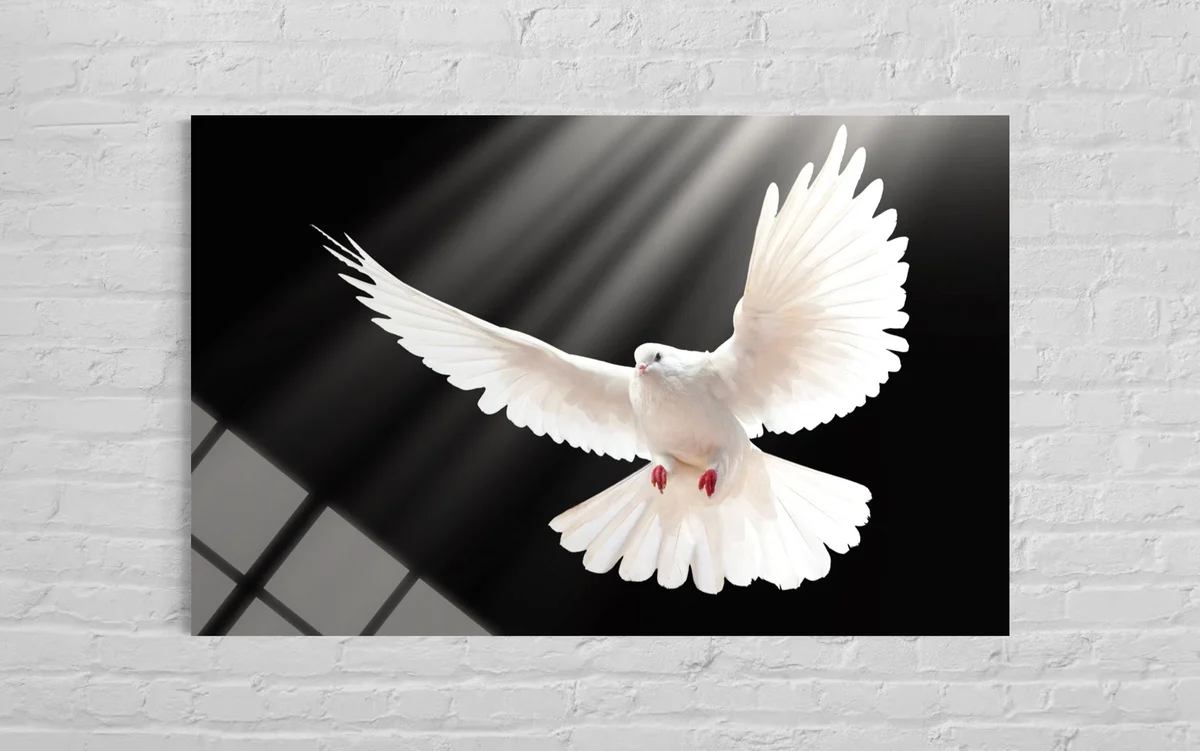 Beyaz Güvercin Cam Tablo