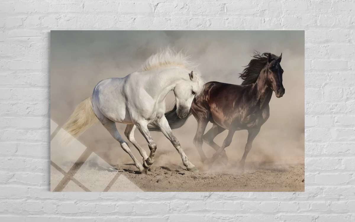 İkili At Cam Tablo