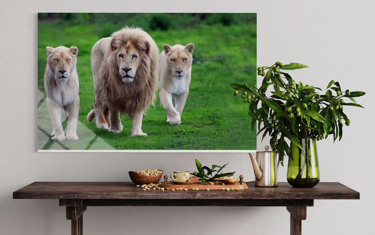 Aslan Ve Yavruları Cam Tablo