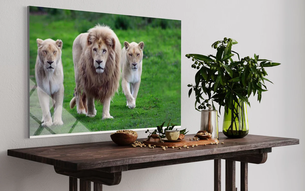 Aslan Ve Yavruları Cam Tablo