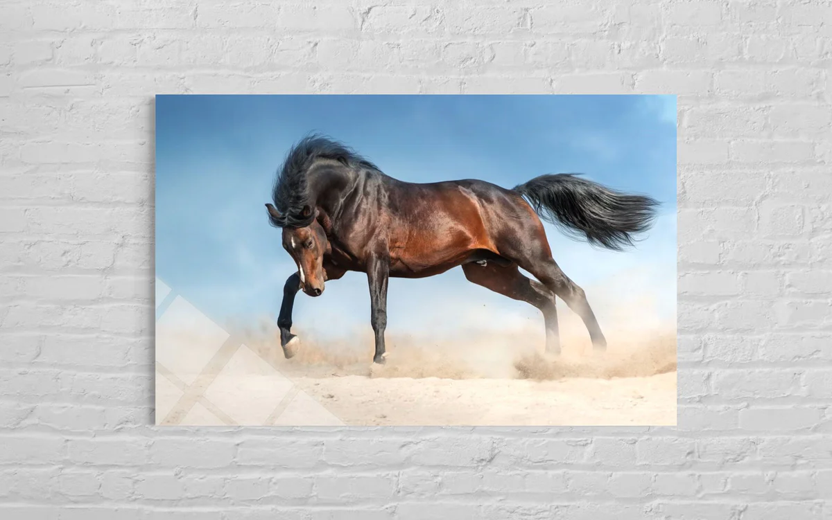 Kahverengi Atlı Cam Tablo