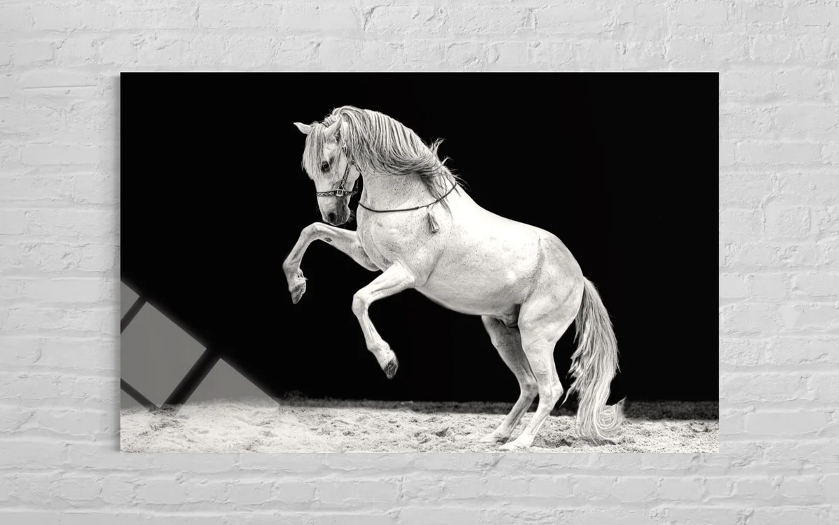 Şahlanan Beyaz At Cam Tablo