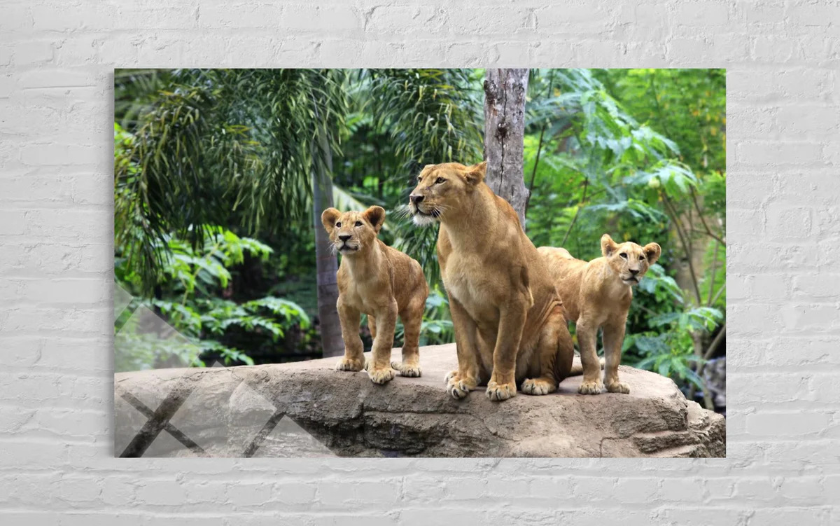 Aslan ve Yavruları Cam Tablo