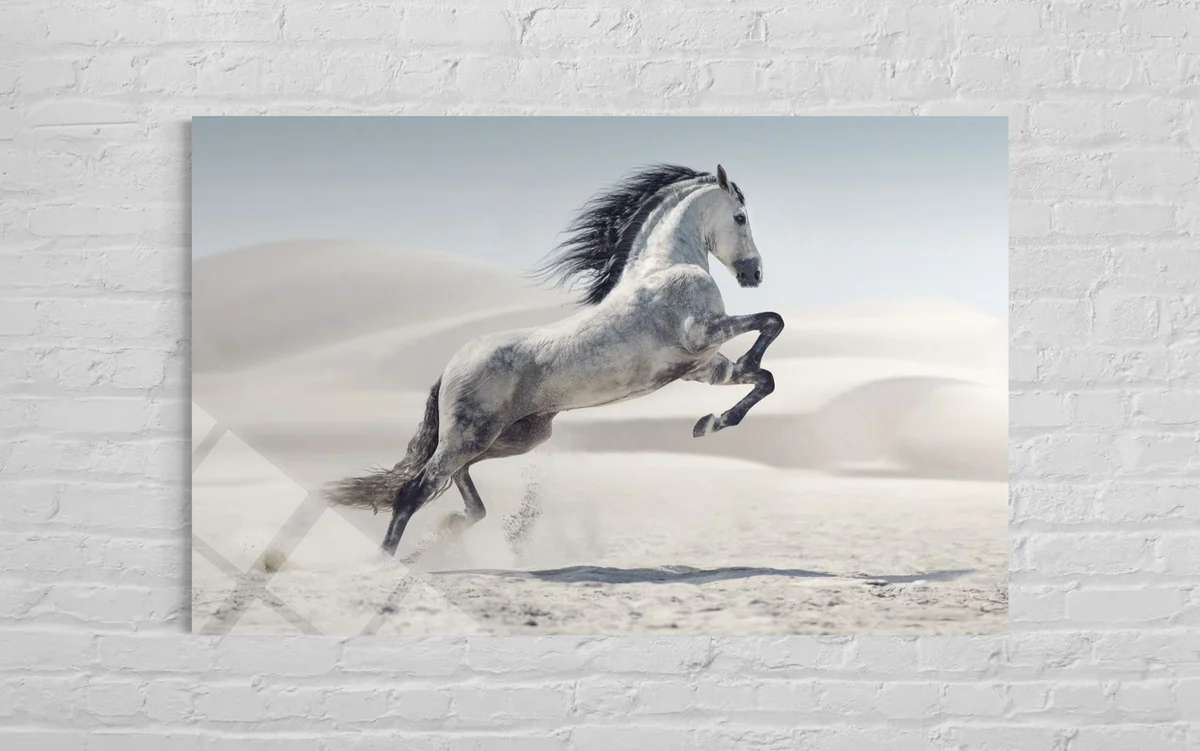 Şahlanan Beyaz At Cam Tablo