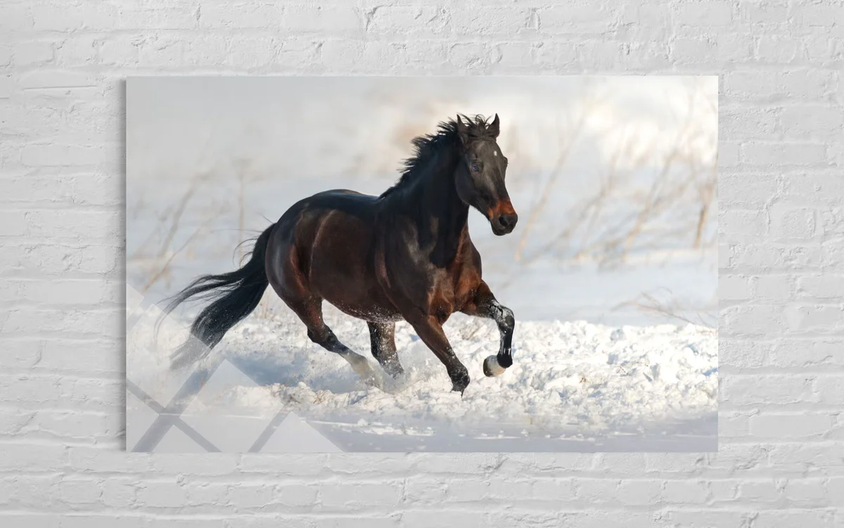 Kahverengi At Cam Tablo