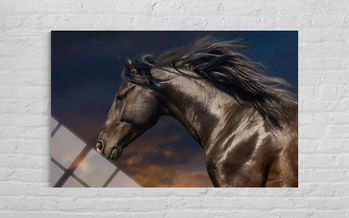 Kahverengi Atlı Cam Tablo