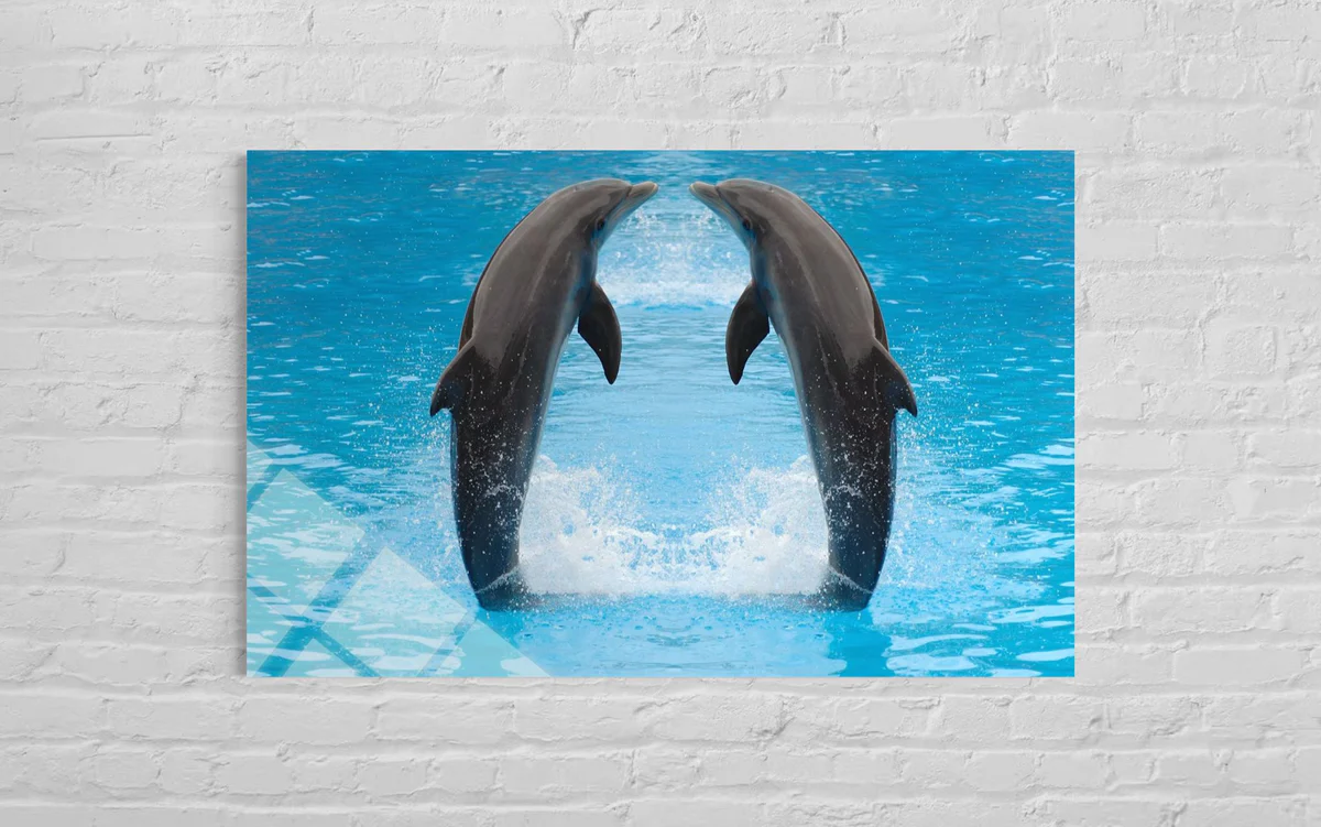 İki Yunuslu Cam Tablo