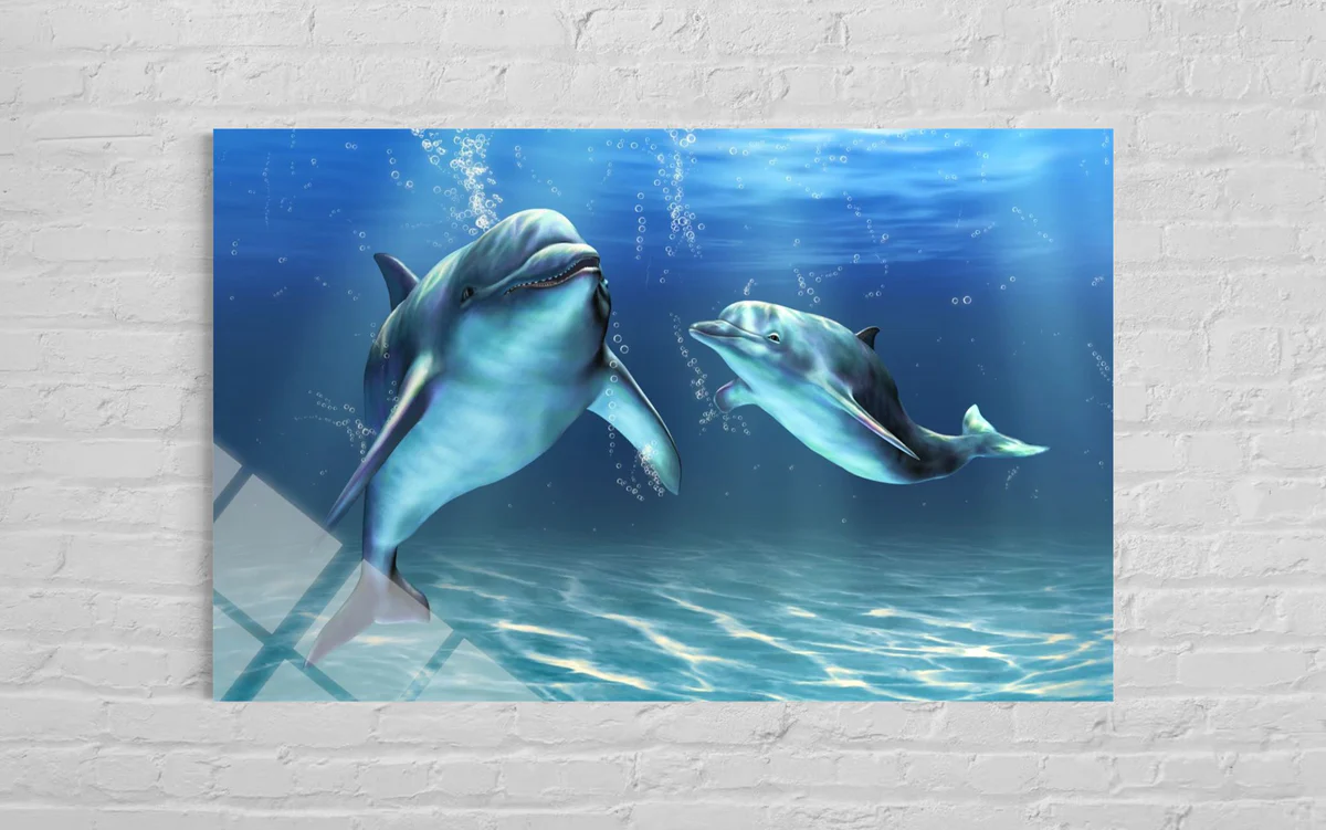 İki Yunuslu Cam Tablo