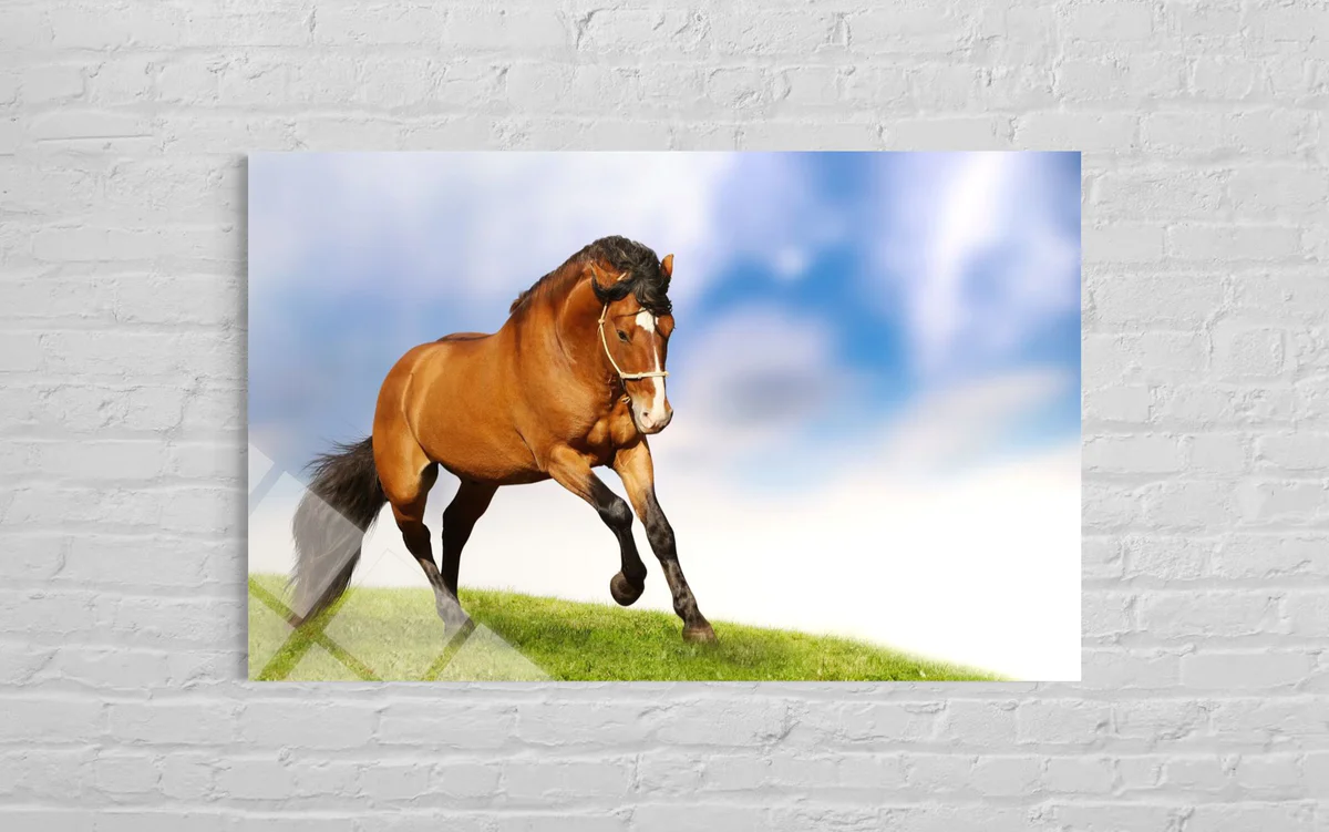 Kahverenkli Cam Tablo