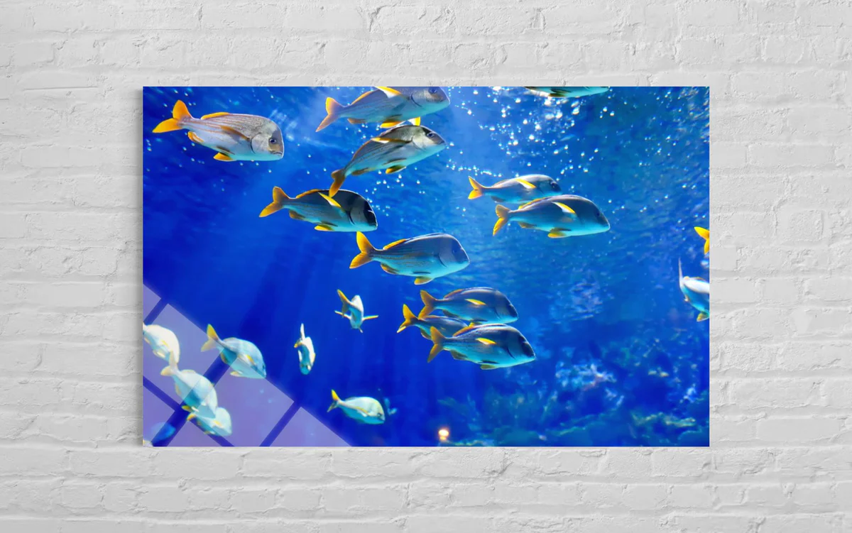 Balıklı Cam Tablo