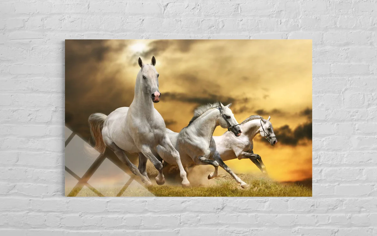 Üçlü Beyaz Atlı Cam Tablo