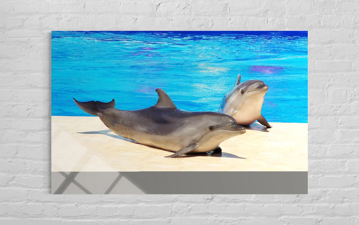 İki Yunuslu Cam Tablo