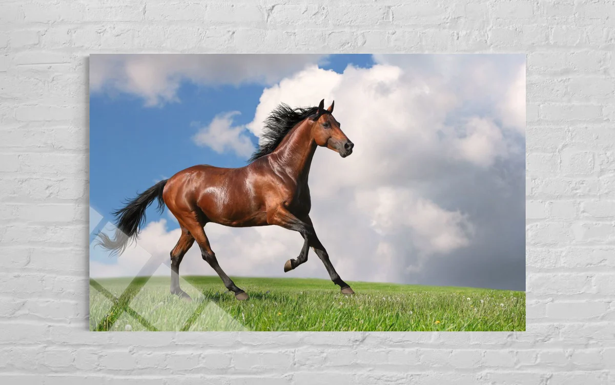 Kahverenkli Atlı Cam Tablo