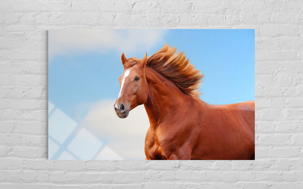 Kahverengi Atlı Cam Tablo