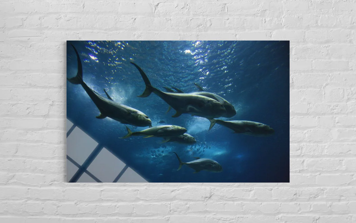 Balıklı  Cam Tablo