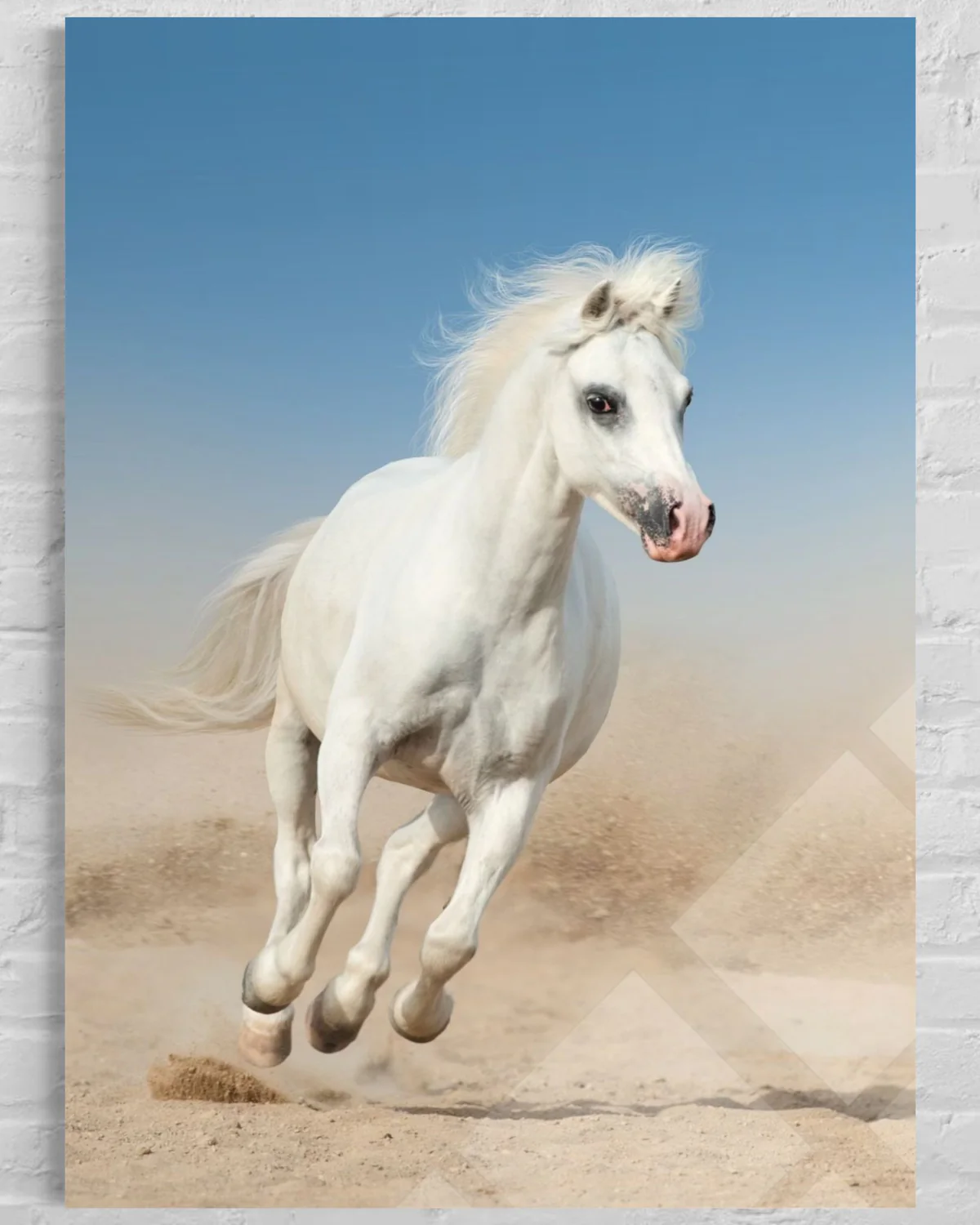 Beyaz Atlı Cam Tablo