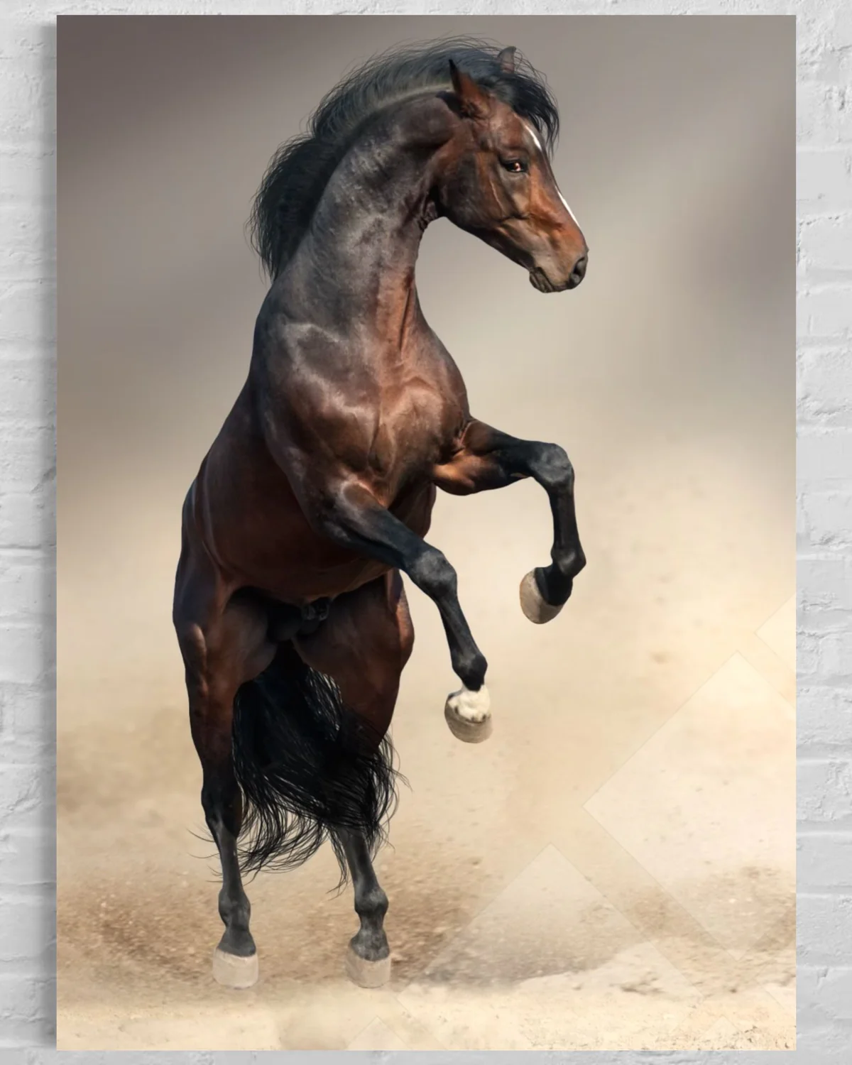 Şahlanan Atlı Cam Tablo