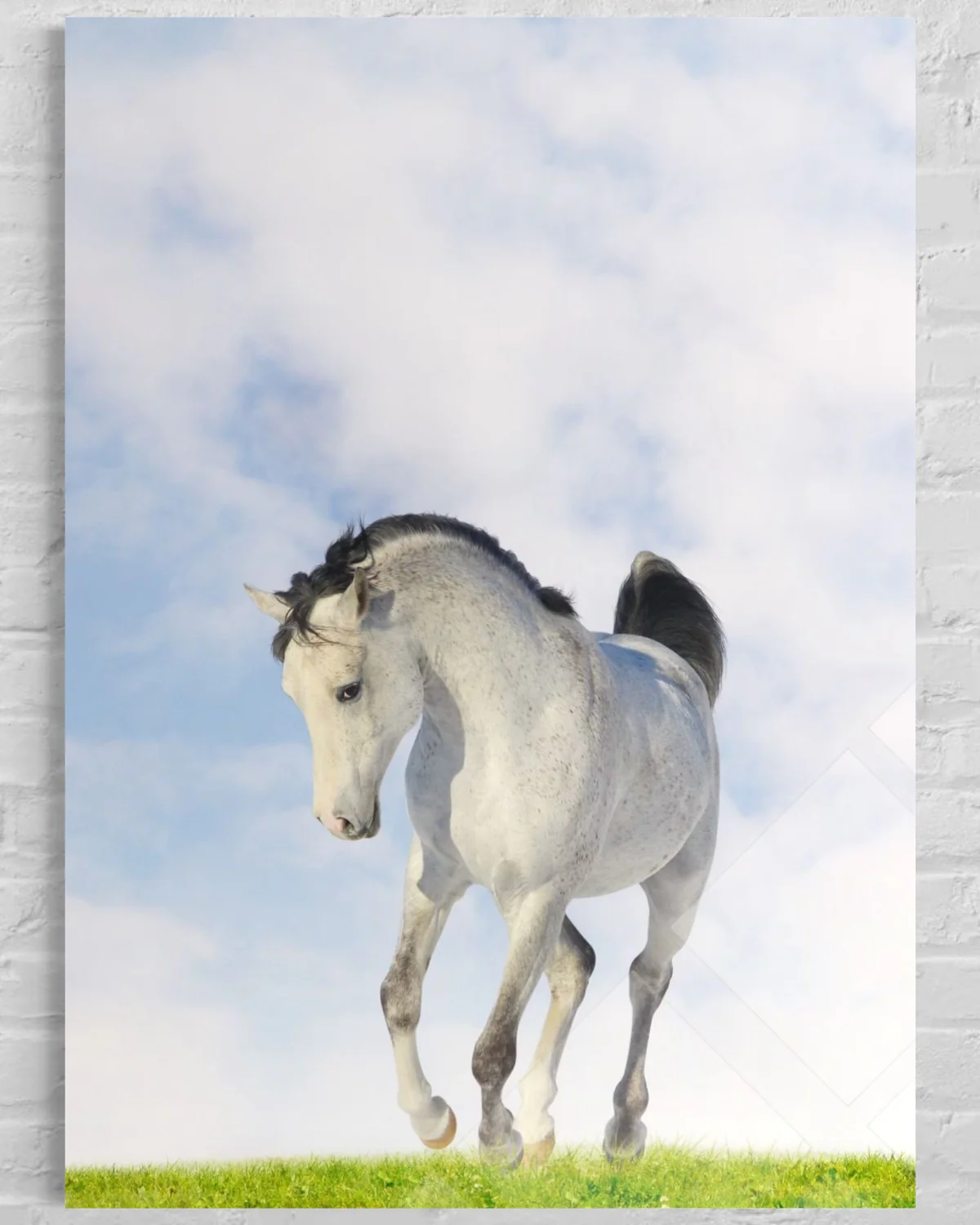 Beyaz Atlı Cam Tablo