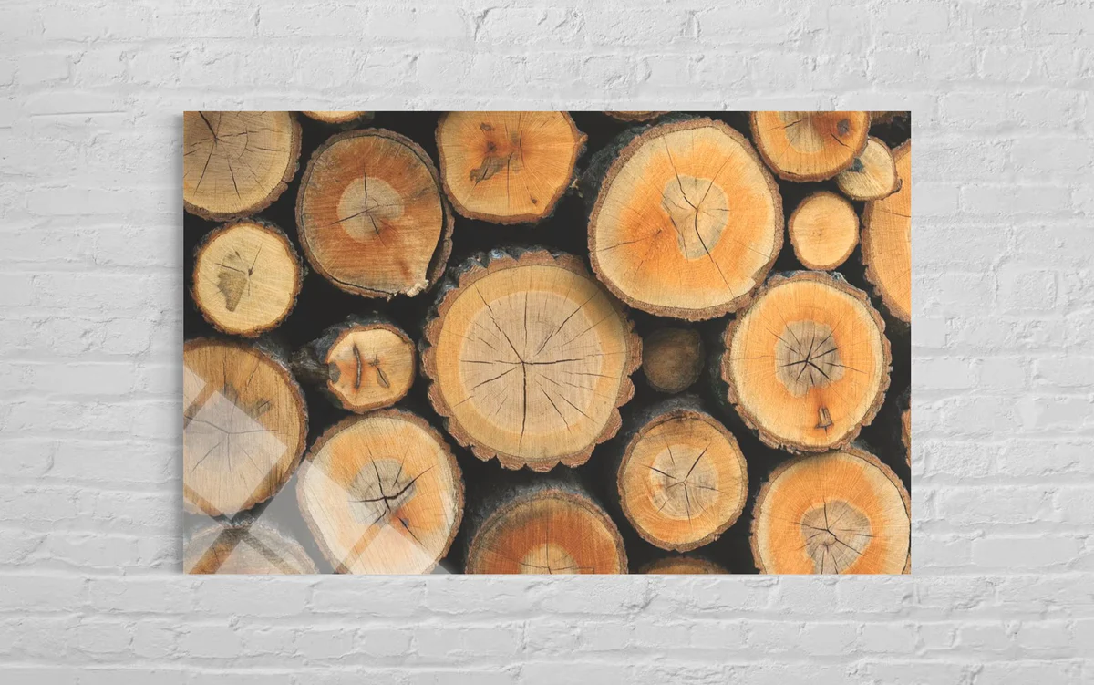 Modern - Sanat Cam Tablo