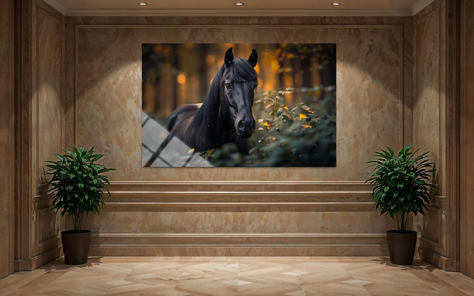 Siyah Atlı Cam Tablo