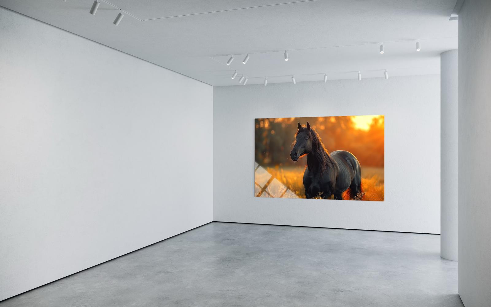 Siyah Atlı Cam Tablo