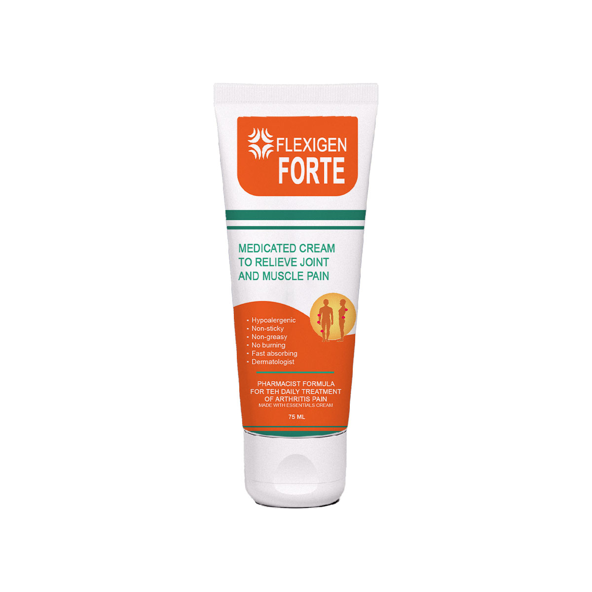 Flexigen Forte PainCream Karakafes Kökü Zencefil At Kestanesi ve Kapsaisinli Vücut MasajKremi 75ml Tüp