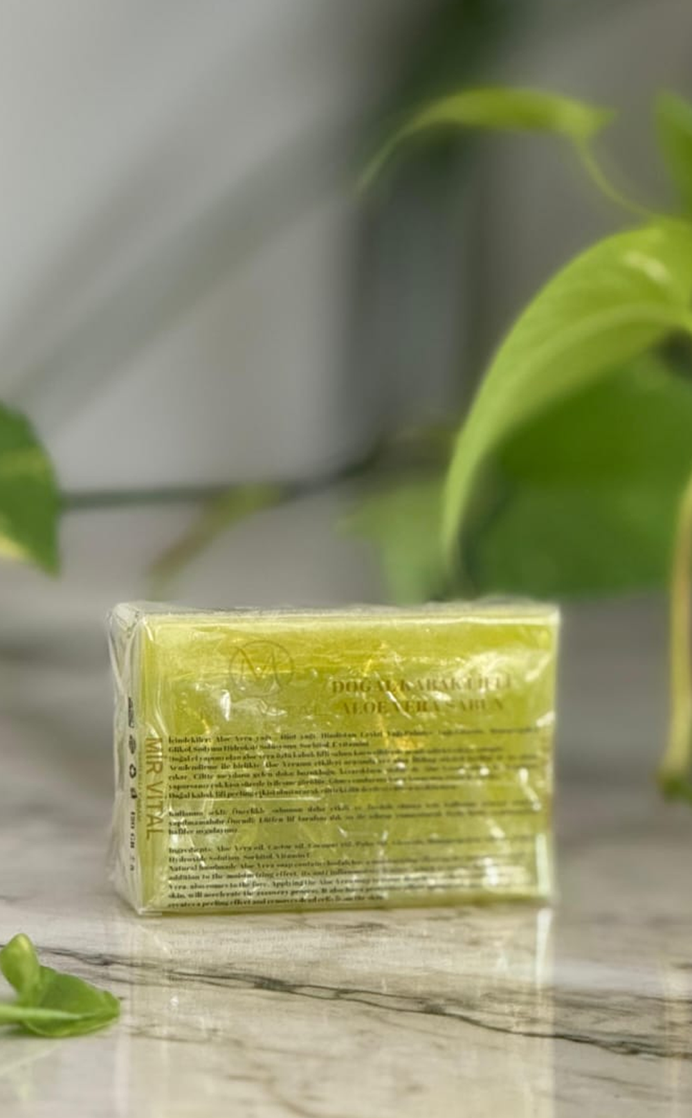 Aloe Vera Sabun