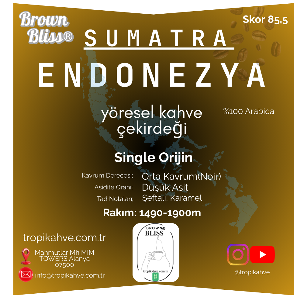 BrownBliss® Endonezya SUMATRA Çekirdek