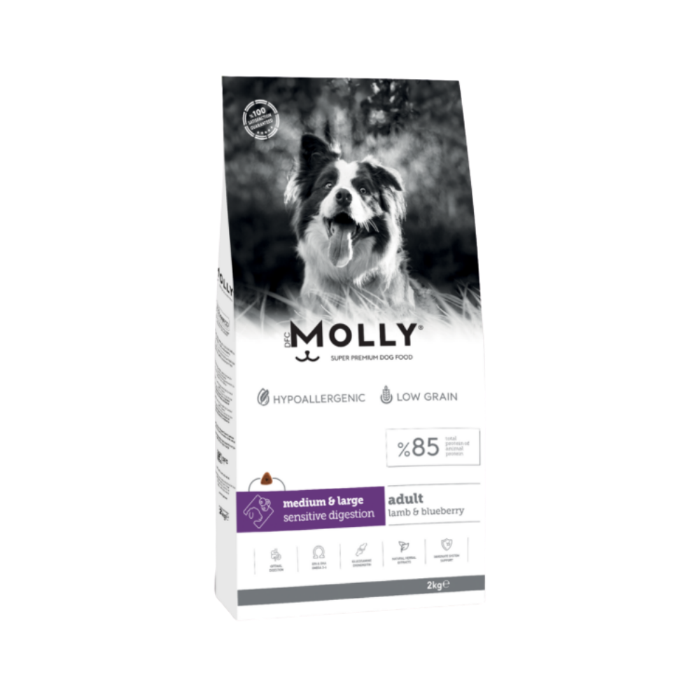Molly Medium Adult Kuzu Etli & Yaban Mersinli Orta ve Büyük Irk Yetişkin Köpek Maması 2 Kg
