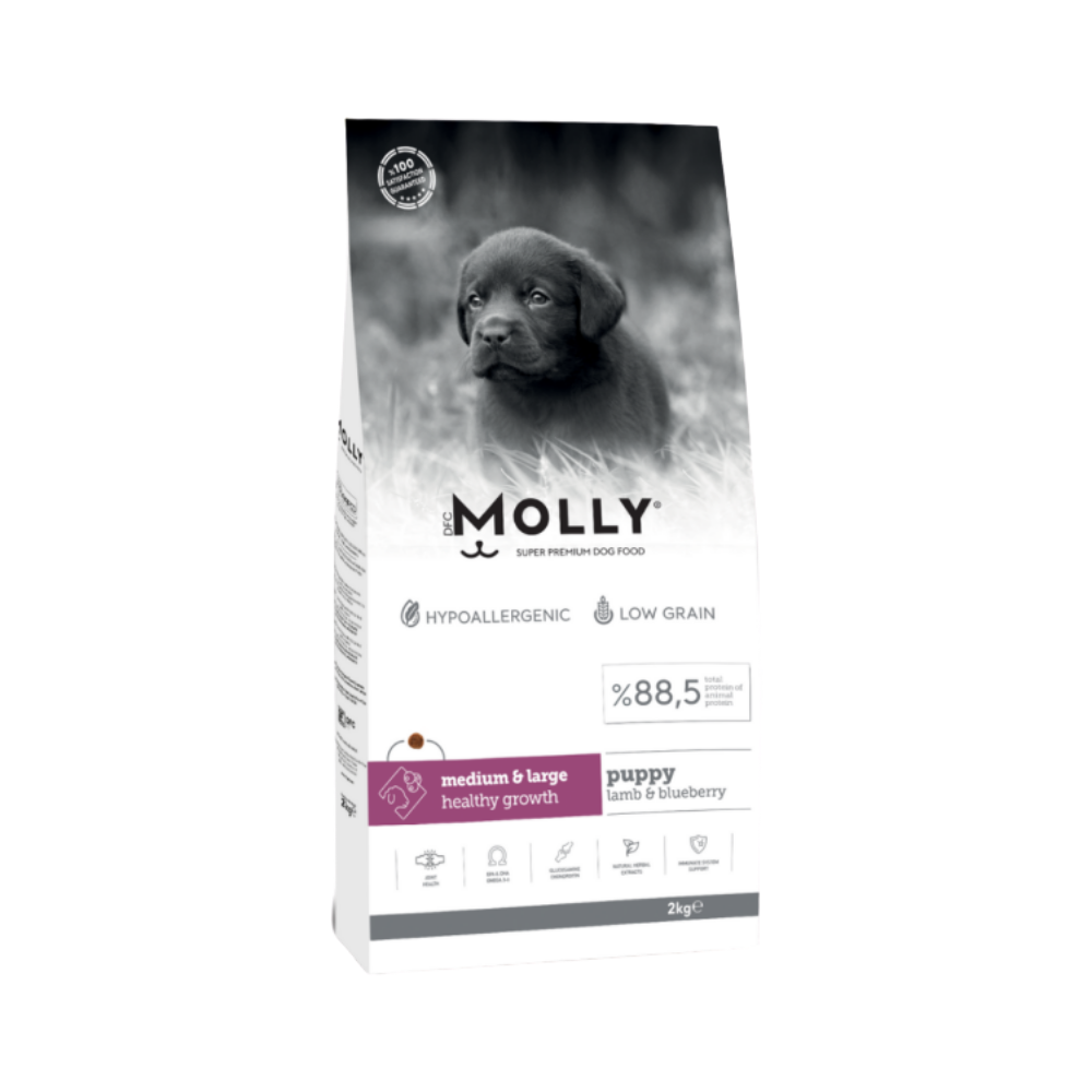 Molly Medium Puppy Kuzu Etli & Yaban Mersinli Orta ve Büyük Irk Yavru Köpek Maması 2 Kg