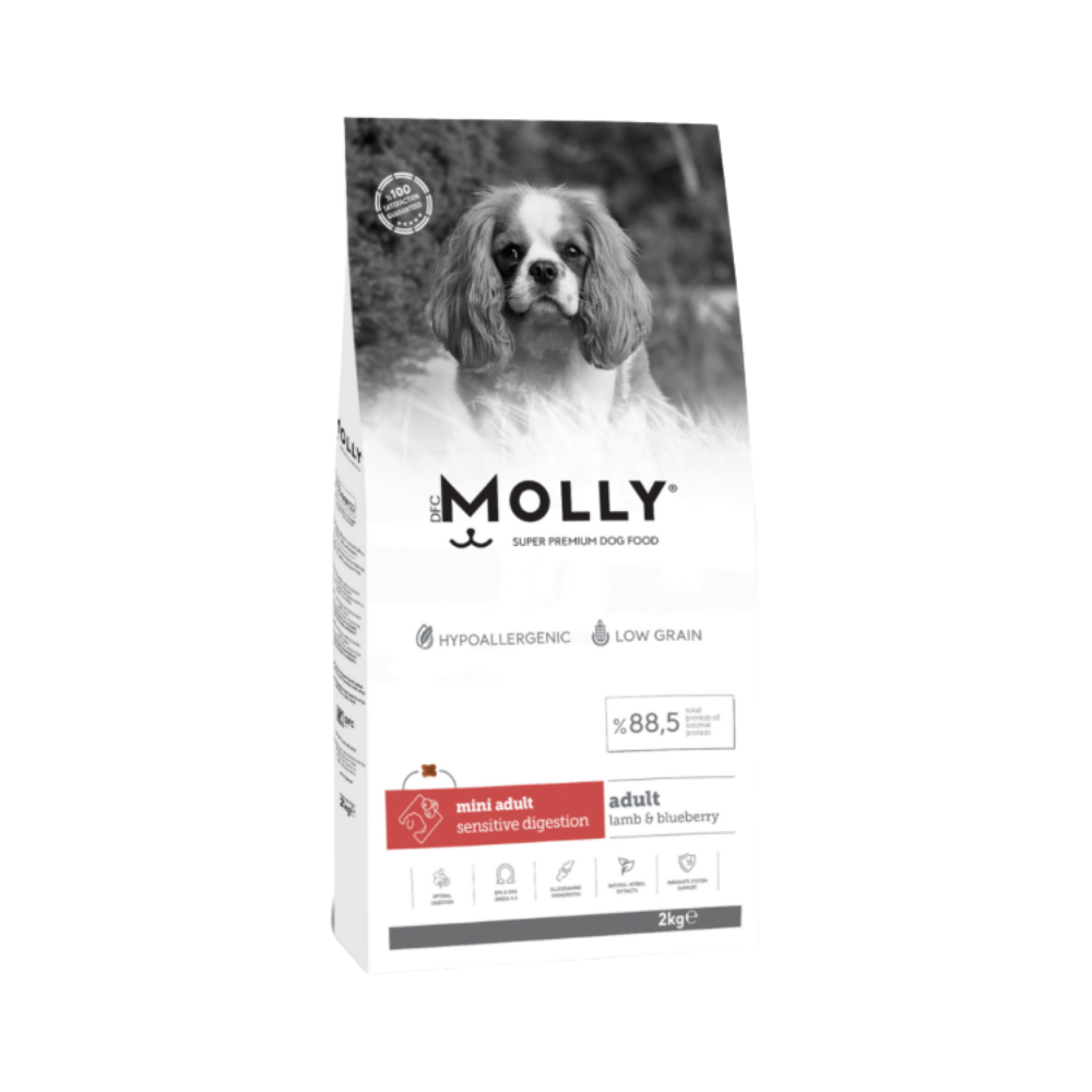 Molly Mini Adult Kuzu Etli & Yaban Mersinli Küçük Irk Yetişkin Köpek Maması 2 Kg