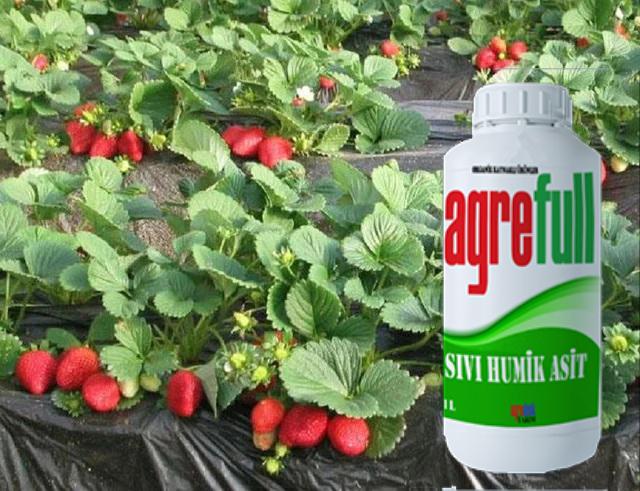 AGREFULL SIVI HUMİK ASİT 1 LT                         TOPRAK DÜZENLEYİCİ