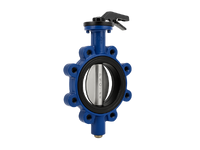 DN40 Lug Tip Kelebek Vana