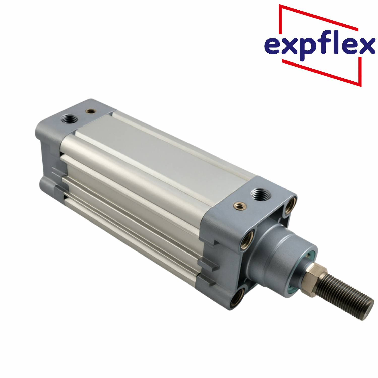 Expflex KDNC-63-S Manyetik Yastıklı Pnömatik Silindir
