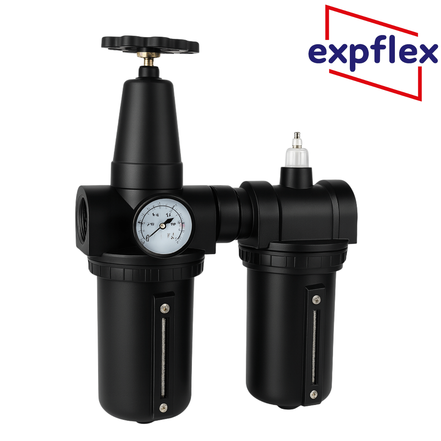Expflex AC-901 Serisi Pnömatik Şartlandırıcı