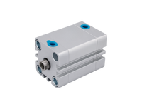 ADN 25x10-S Short Strok Pnömatik Silindir