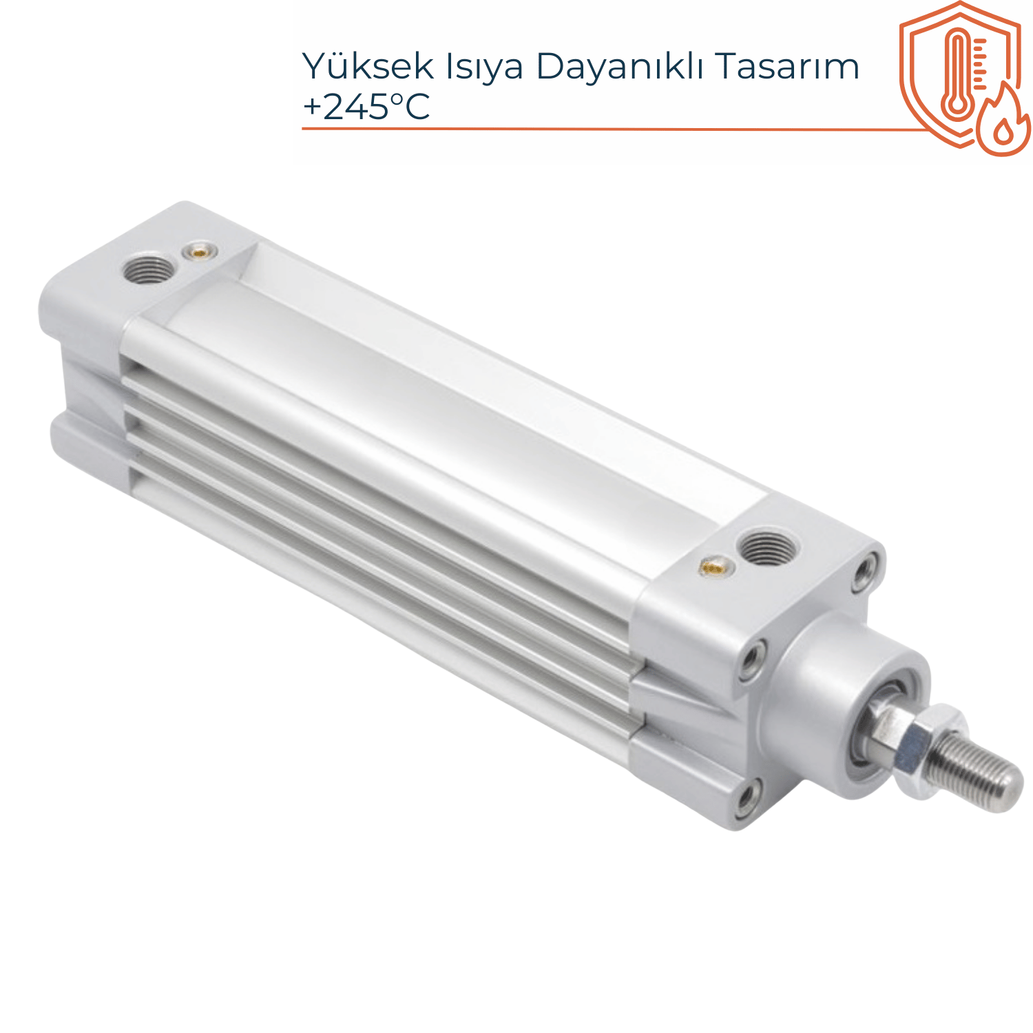 Viton Keçeli Pnömatik Silindirler