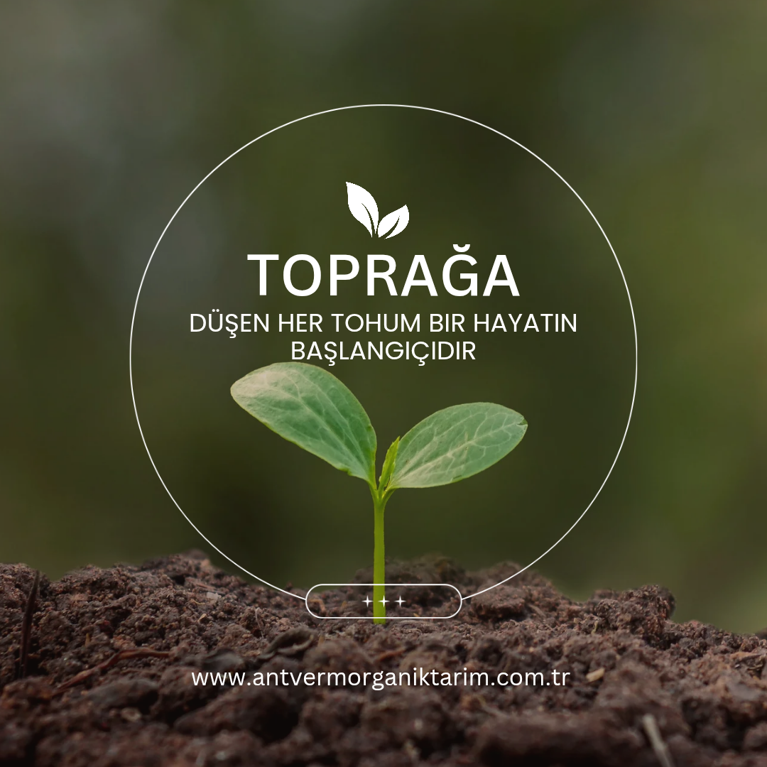 SOLUCAN GÜBRESİ HANGİ BİTKİLERDE KULLANILIR?