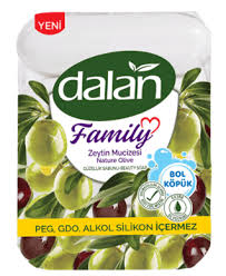 Dalan family 300 gr katı el sabunu zeytinli